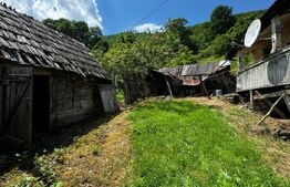 Casă la munte cu teren generos de 9340mp în zona Căpâlna - Valea Sebeșului