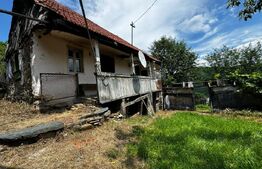 Casă la munte cu teren generos de 9340mp în zona Căpâlna - Valea Sebeșului