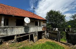 Casă la munte cu teren generos de 9340mp în zona Căpâlna - Valea Sebeșului