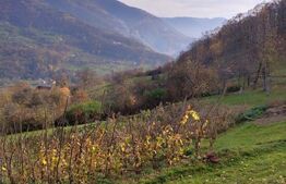 Casă la munte cu teren generos de 9340mp în zona Căpâlna - Valea Sebeșului