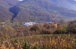 Casă la munte cu teren generos de 9340mp în zona Căpâlna - Valea Sebeșului