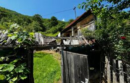 Casă la munte cu teren generos de 9340mp în zona Căpâlna - Valea Sebeșului
