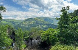 Casă la munte cu teren generos de 9340mp în zona Căpâlna - Valea Sebeșului