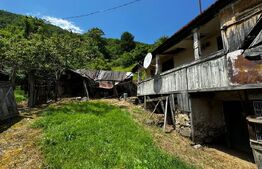 Casă la munte cu teren generos de 9340mp în zona Căpâlna - Valea Sebeșului