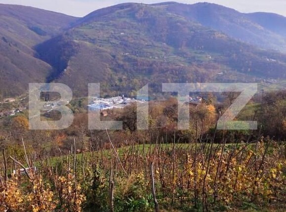 Casa de vânzare 2 camere Exterior Sud - 150943CV | BLITZ Alba Iulia | Poza11