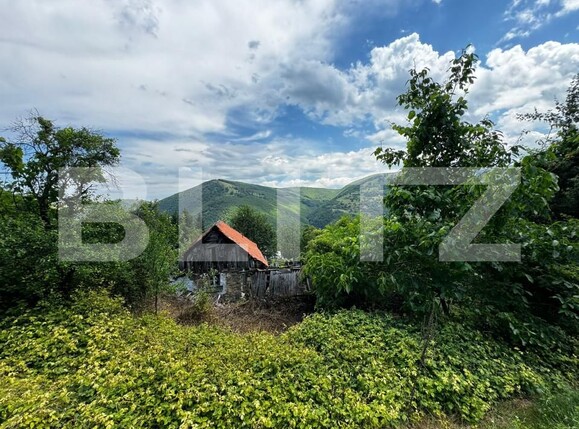 Casa de vânzare 2 camere Exterior Sud - 150943CV | BLITZ Alba Iulia | Poza3