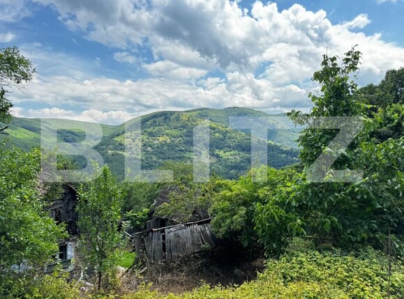 Casa de vânzare 2 camere Exterior Sud - 150943CV | BLITZ Alba Iulia | Poza2