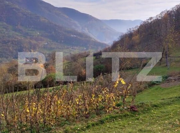 Casa de vânzare 2 camere Exterior Sud - 150943CV | BLITZ Alba Iulia | Poza12