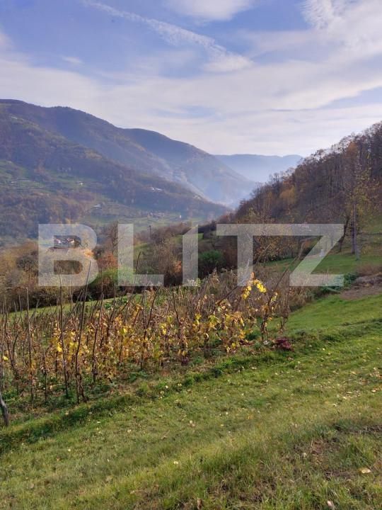 Casa de vânzare 2 camere Exterior Sud - 150943CV | BLITZ Alba Iulia | Poza12