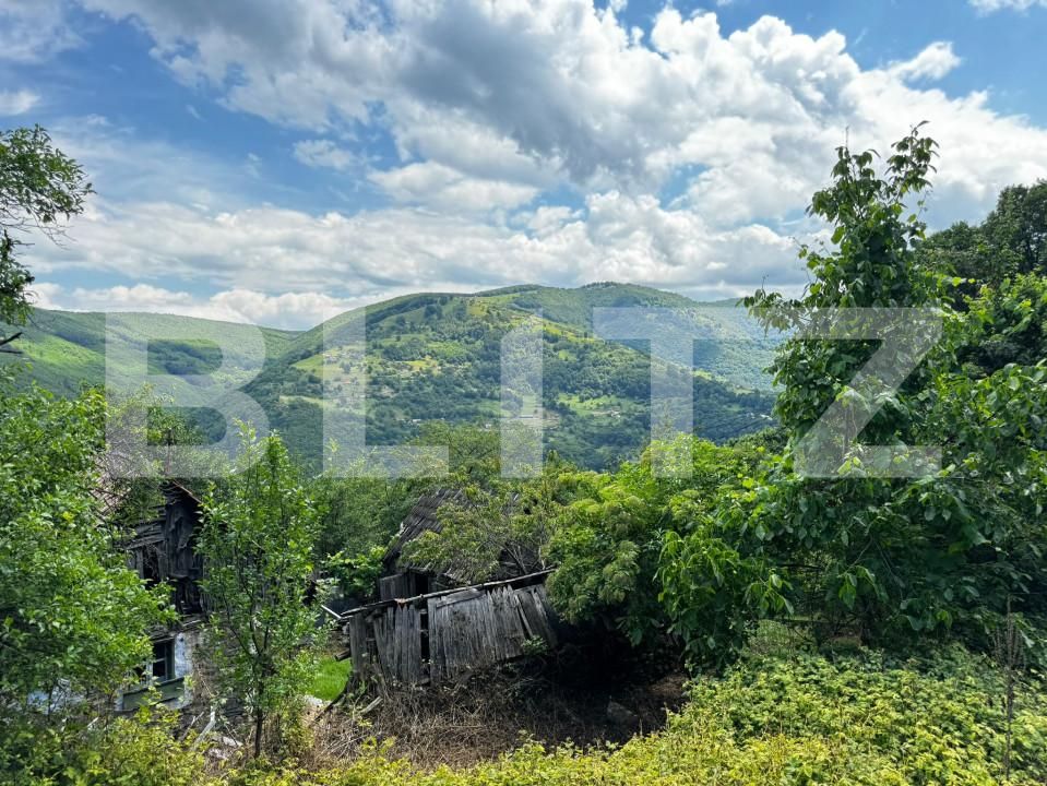 Casa de vânzare 2 camere Exterior Sud - 150943CV | BLITZ Alba Iulia | Poza2