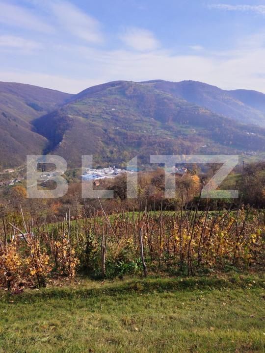 Casa de vânzare 2 camere Exterior Sud - 150943CV | BLITZ Alba Iulia | Poza11