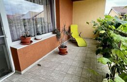 Casa, P+E, 4 camere, 294 mp de teren in cartierul Centru la asfalt