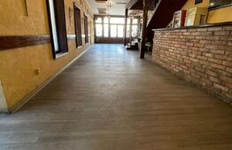 Spatiu comercial, 200mp, Aiud