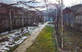 Casa Ultracentrală Aiud, 2 camere, 105mp, curte 423 m, Pretabil SP Comercial 