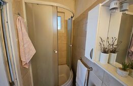 Casa Ultracentrală Aiud, 2 camere, 105mp, curte 423 m, Pretabil SP Comercial 