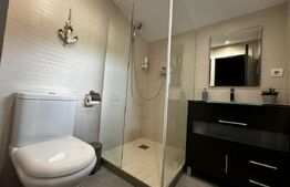 Vila cu piscina, Afacere la cheie, 900 mp teren, zona Sard - Ampoita