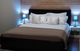 Vila cu piscina, Afacere la cheie, 900 mp teren, zona Sard - Ampoita