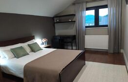 Vila cu piscina, Afacere la cheie, 900 mp teren, zona Sard - Ampoita