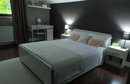 Vila cu piscina, Afacere la cheie, 900 mp teren, zona Sard - Ampoita