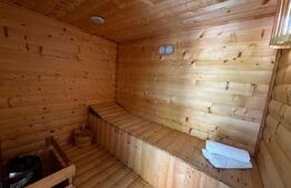 Vila cu piscina, Afacere la cheie, 900 mp teren, zona Sard - Ampoita