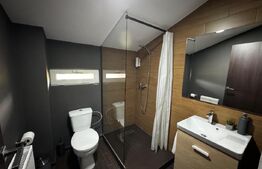 Vila cu piscina, Afacere la cheie, 900 mp teren, zona Sard - Ampoita