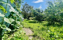 Casa de vanzare 96 mp, 3 camere 