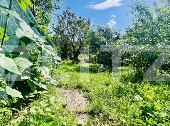 Casa de vânzare 3 camere Aiud - 151470CV | BLITZ Alba Iulia | Poza2