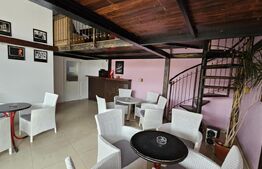 Spațiu comercial cu terase și panouri fotovoltaice – oportunitate de afacere