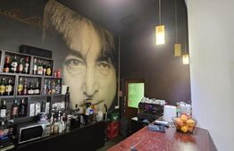 Spațiu comercial cu terase și panouri fotovoltaice – oportunitate de afacere