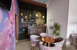 Spațiu comercial cu terase și panouri fotovoltaice – oportunitate de afacere