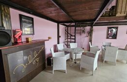 Spațiu comercial cu terase și panouri fotovoltaice – oportunitate de afacere