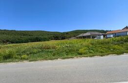 TEREN INTRAVILAN, 4900 mp, zona Hăpria - STRAJA