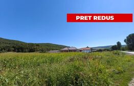 TEREN INTRAVILAN, 4900 mp, zona Hăpria - STRAJA