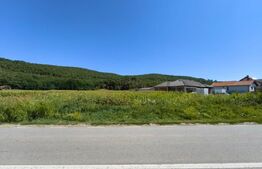 Teren intravilan, 4900 mp, zona Hăpria - Ciugud