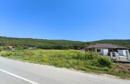 Teren intravilan, 4900 mp, zona Hăpria - Ciugud