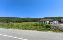 TEREN INTRAVILAN, 4900 mp, zona Hăpria - STRAJA
