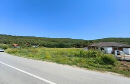 TEREN INTRAVILAN, 4900 mp, zona Hăpria - STRAJA