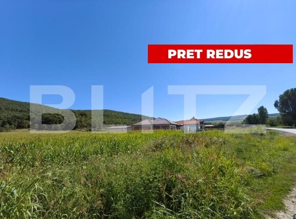 Teren de vânzare Hapria - 151763TV | BLITZ Alba Iulia | Poza1
