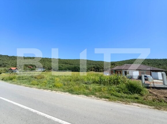 Teren de vânzare Hapria - 151763TV | BLITZ Alba Iulia | Poza4