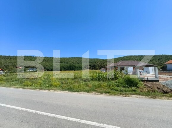 Teren de vânzare Hapria - 151763TV | BLITZ Alba Iulia | Poza3