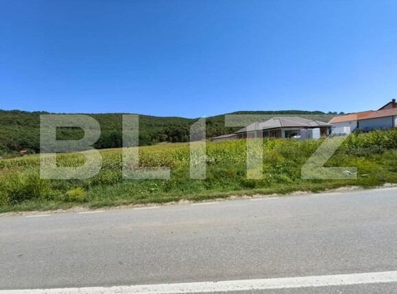 Teren de vânzare Hapria - 151763TV | BLITZ Alba Iulia | Poza2