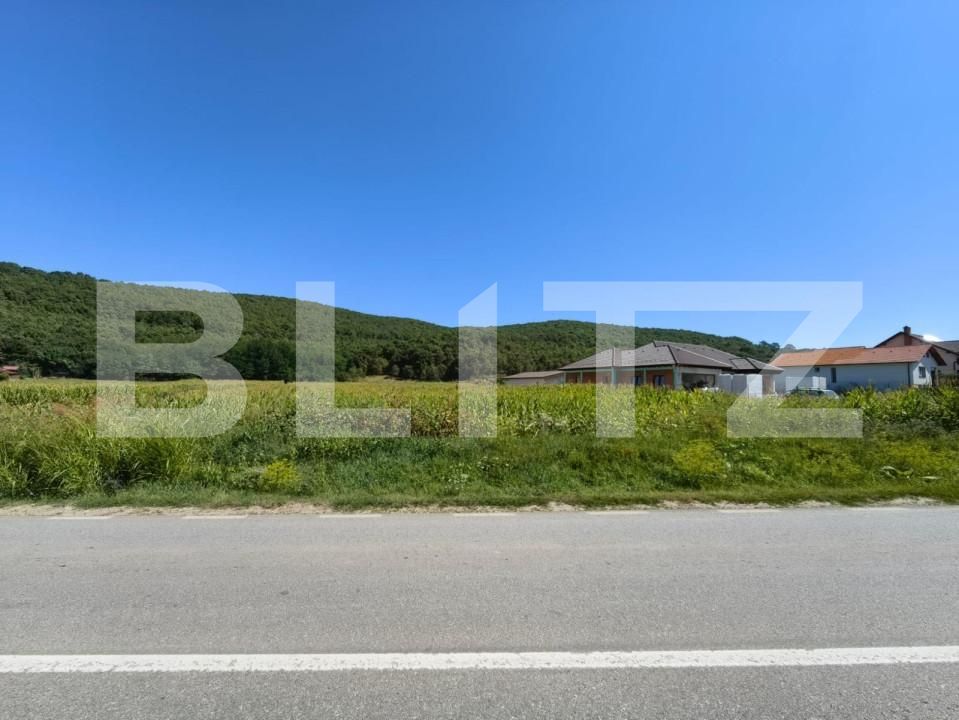 Teren de vânzare Hapria - 151763TV | BLITZ Alba Iulia | Poza5