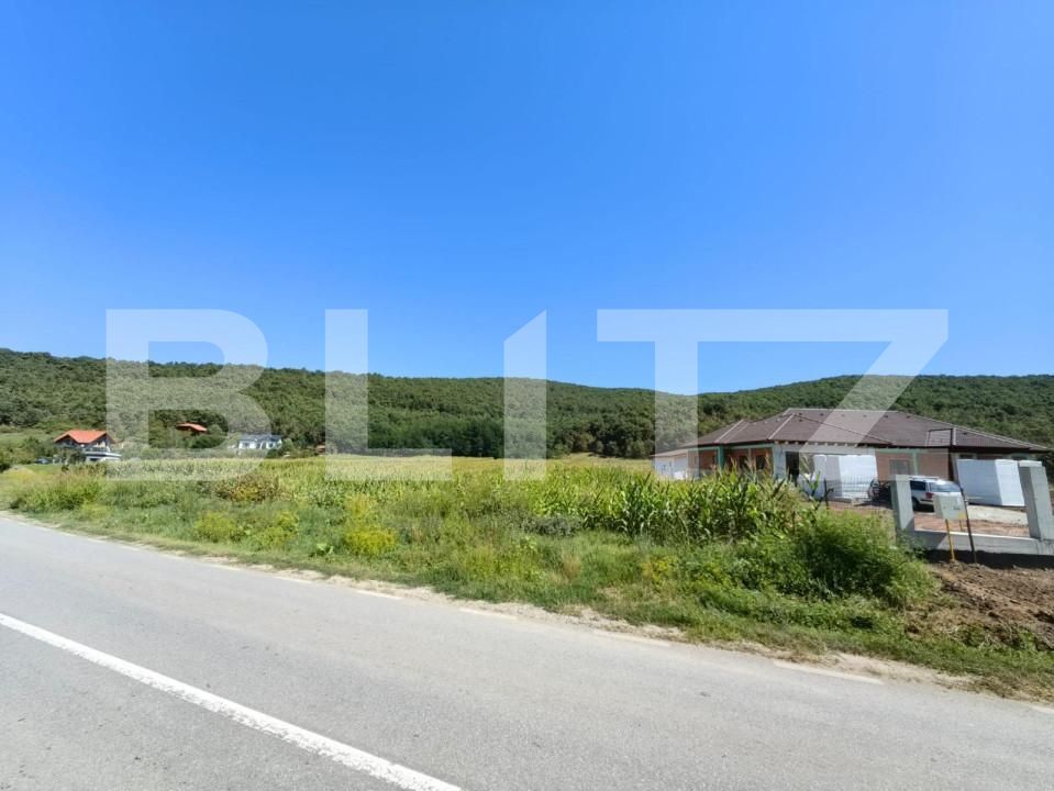 Teren de vânzare Hapria - 151763TV | BLITZ Alba Iulia | Poza4