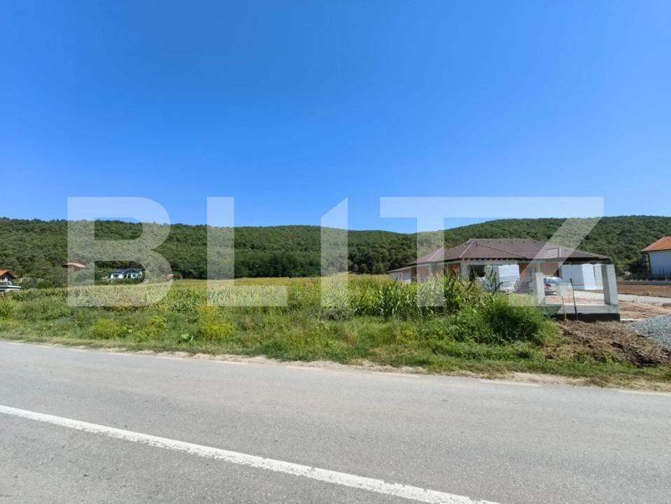 Teren de vânzare Hapria - 151763TV | BLITZ Alba Iulia | Poza3