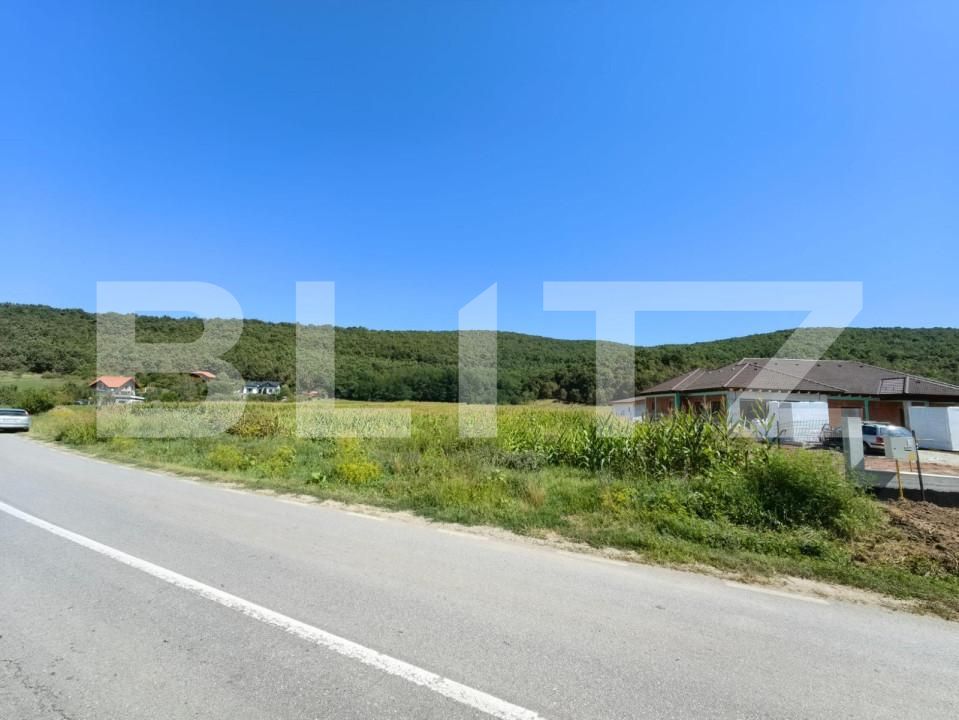 Teren de vânzare Hapria - 151763TV | BLITZ Alba Iulia | Poza6