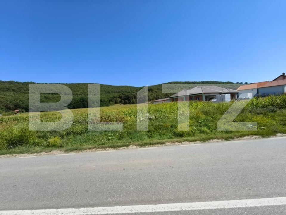 Teren de vânzare Hapria - 151763TV | BLITZ Alba Iulia | Poza2