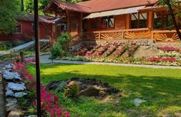 Complex turistic, 60 de locuri disponibile, ciubar, piscina, jacuzzi, Sebes