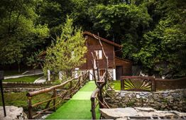 Complex turistic, 60 de locuri disponibile, ciubar, piscina, jacuzzi, Sebes