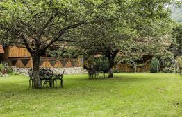 Complex turistic, 60 de locuri disponibile, ciubar, piscina, jacuzzi, Sebes