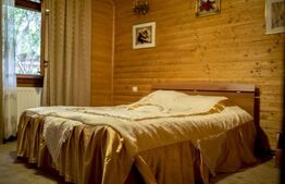 Complex turistic, 60 de locuri disponibile, ciubar, piscina, jacuzzi, Sebes